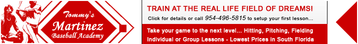 Martinez Baseball Academy - Baseball Training Program