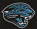 Coral Glades Jaguars